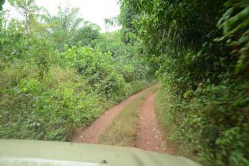 Field Trip, Libérie